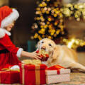 Holiday Safety Tips from Schoolcraft Veterinary Clinic