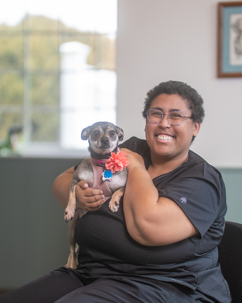 A person with short, dark, textured hair and glasses, wearing a black scrub top, smiling while holding a small, brown and tan Chihuahua mix wearing a pink harness with a large floral embellishment.