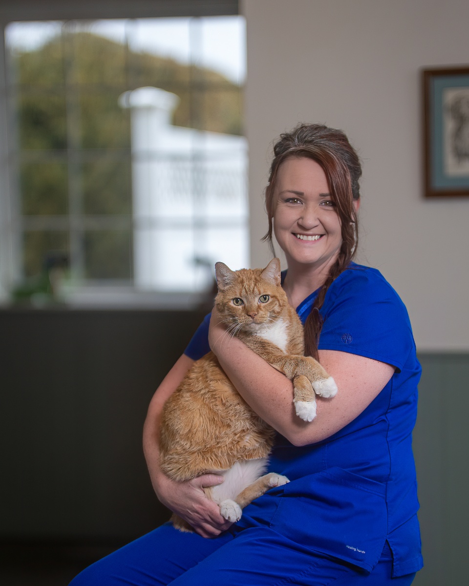 A smiling woman wearing blue medical scrubs holds a large orange and white tabby cat in her arms.