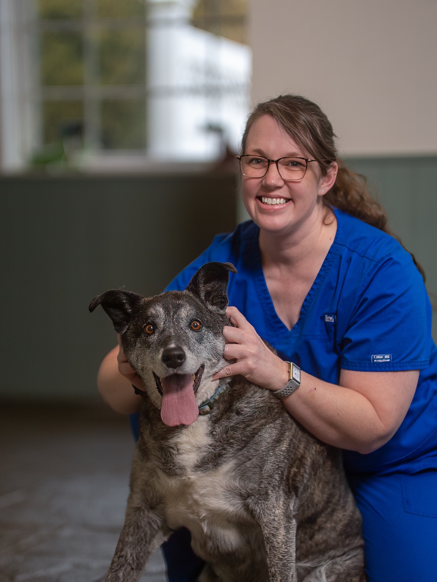A smiling veterinarian in blue scrubs gently holds the head of a happy, grey-muzzled brindle dog that is panting with its tongue out.