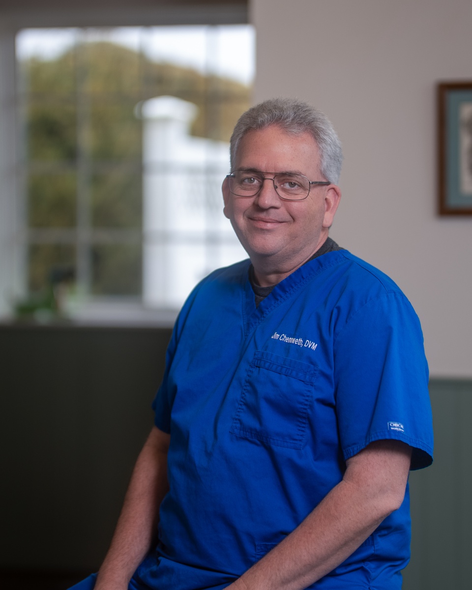 A middle-aged man with gray hair and glasses, wearing a blue medical scrub top embroidered with "Jim Chenoweth, DVM," sits in a professional office setting with a window in the background.
