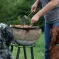 Summer Foods for Dogs and Cats: Hidden Food Dangers to Avoid